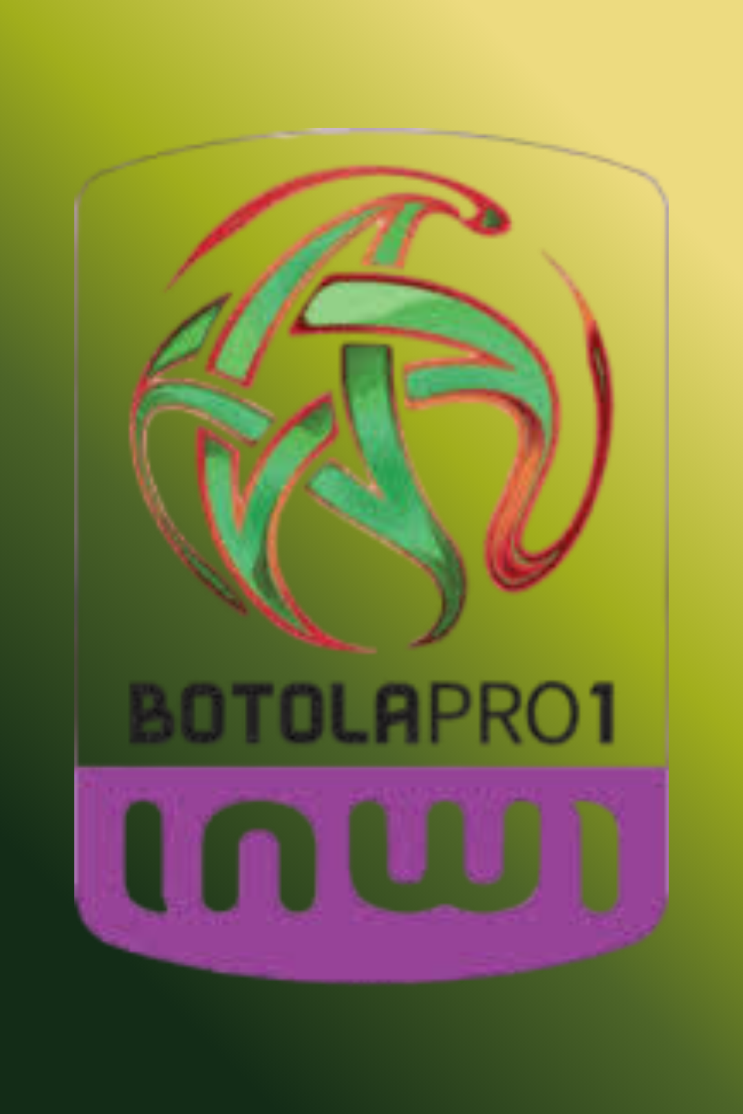 _الدوري المغربي – Botola Pro